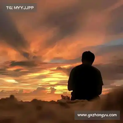 贺佩多